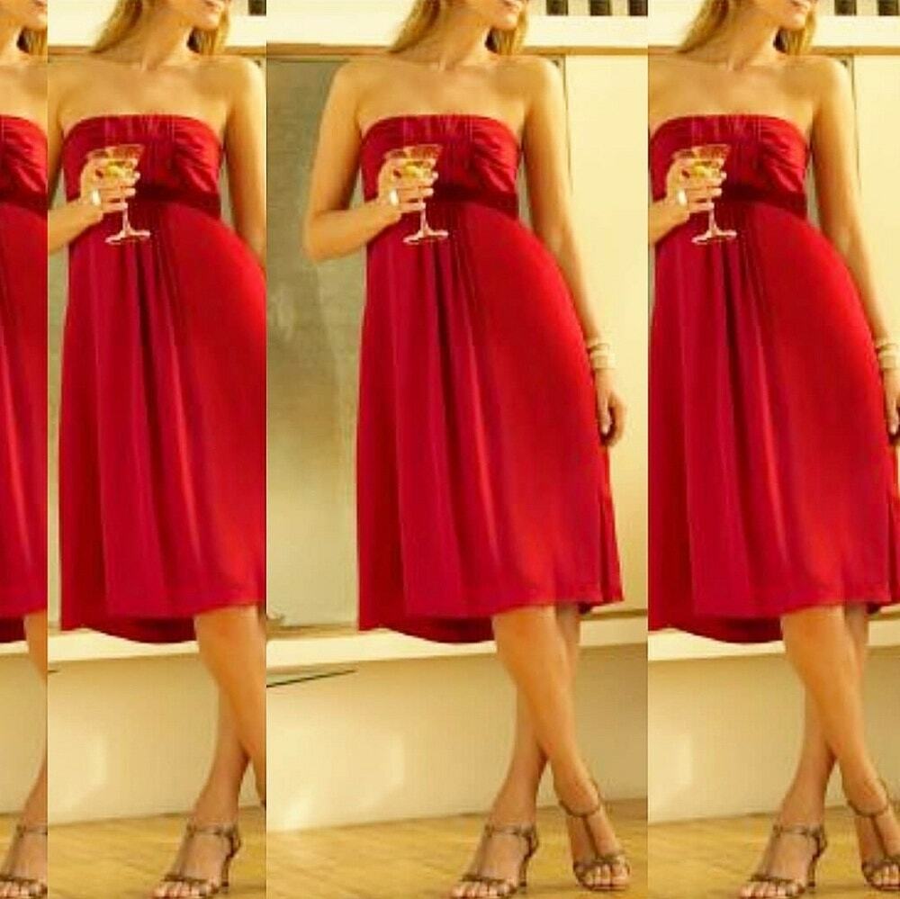 Banana Republic Ruby Silk Strapless Velvet Empire Dress Size 2